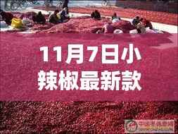 探秘小巷深处的时尚风情，11月7日小辣椒最新款时尚小店揭秘