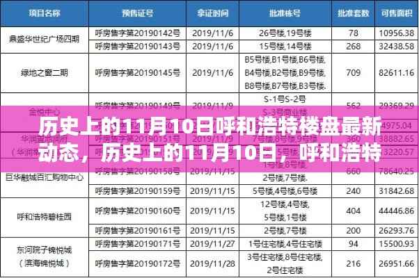历史上的11月10日呼和浩特楼盘动态概览