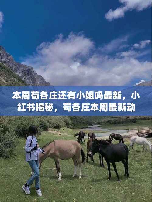 苟各庄涉黄最新动态揭秘,探寻本周小姐踪迹,小红书曝光真相