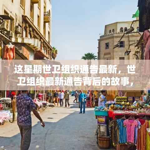 世卫组织最新通告背后的故事与小巷深处的独特小店探索揭秘