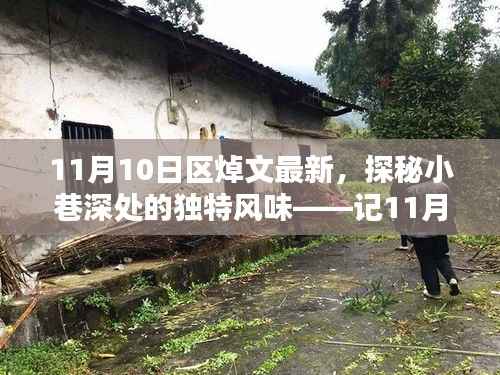 探秘小巷深处的独特风味,区焯文新发现的特色小店之旅