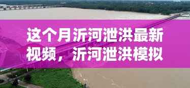沂河泄洪模拟视频最新动态,观看指南与学习掌握最新动态