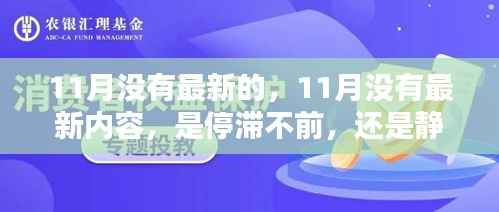 11月静默无声,内容停滞还是静待花开?