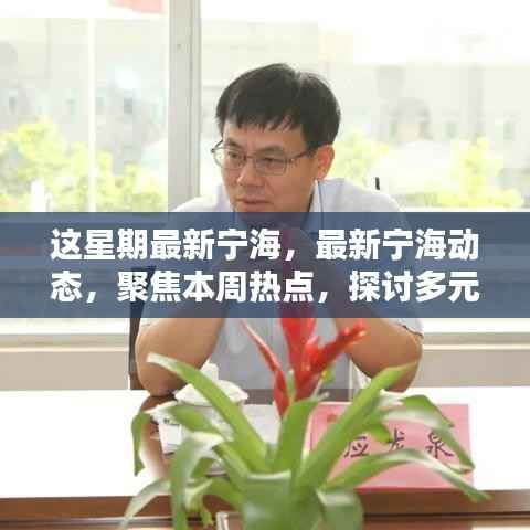 本周宁海热点聚焦，多元观点探讨最新动态