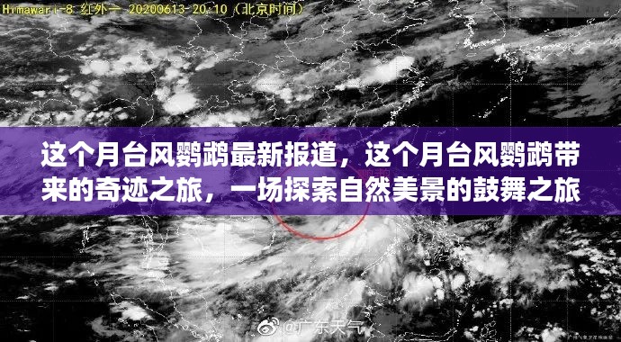 台风鹦鹉带来奇迹之旅,自然美景鼓舞人心之旅探索