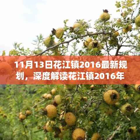 花江镇最新规划深度解读，特性、体验、竞争分析与目标用户群体剖析（2016年）
