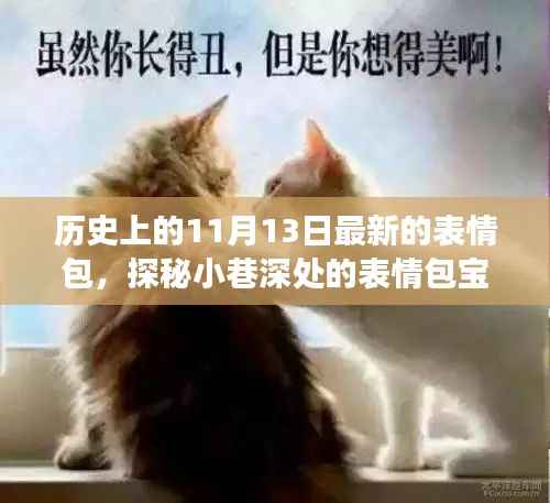 探秘历史深处的表情包宝藏，特色小店探秘与历史上的表情包揭秘（11月13日更新）
