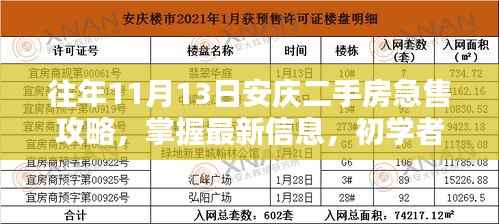 往年11月13日安庆二手房急售攻略，掌握最新信息，初学者与进阶用户指南
