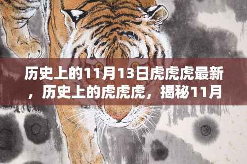 揭秘，历史上的虎虎虎事件与11月13日的神秘面纱