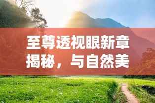 夭桃秾李 第5页