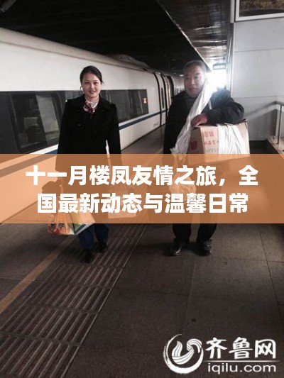 十一月楼凤友情之旅,全国最新动态与温馨日常