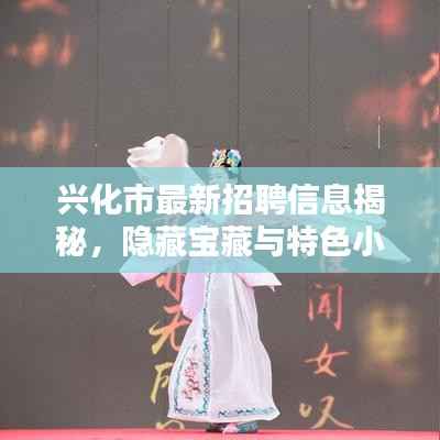 兴化市最新招聘信息揭秘，隐藏宝藏与特色小店的奇妙邂逅日回顾