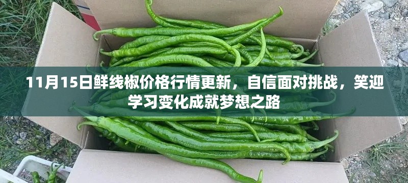 11月15日鲜线椒价格行情更新,自信面对挑战,笑迎学习变化成就梦想之路