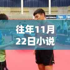 往年11月22日小说杀神最新章节获取指南