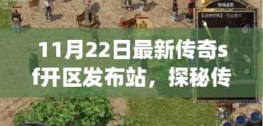 探秘传奇SF新区与小巷深处的特色小店,最新开区发布站之旅