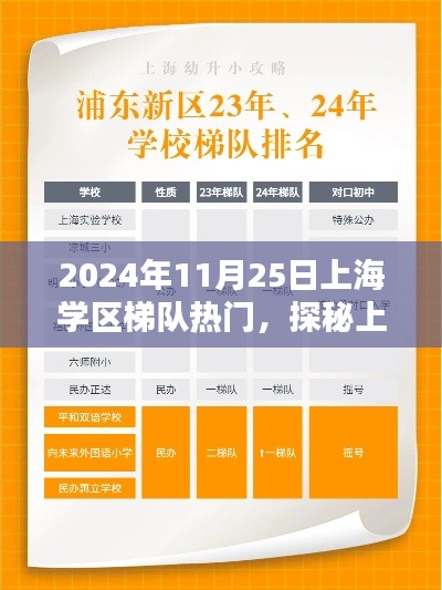 探秘上海学区梯队热门,小巷深处的独特风味,2024年11月25日的奇遇。