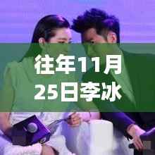 往年11月25日李冰冰最新形象展示与深度产品体验解析