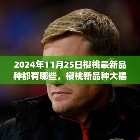 秋日探秘之旅，揭秘樱桃新品种，带你领略最新樱桃风味