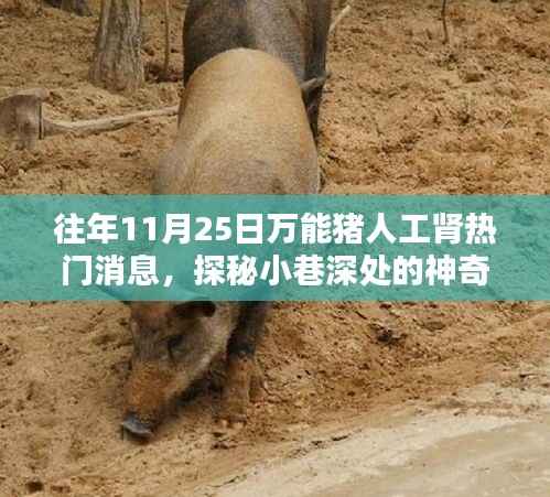 展翅高飞 第4页