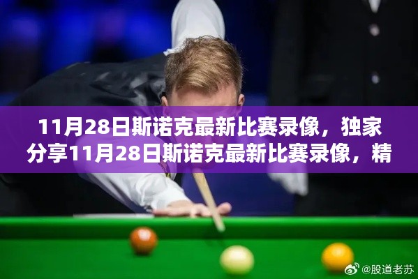 独家分享,11月28日斯诺克最新比赛录像,精彩对决不容错过!