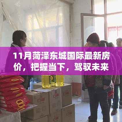 菏泽东城国际房价变迁,励志故事与未来展望