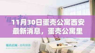 蛋壳公寓西安暖心日常,奇遇十一月尾音里的温暖故事