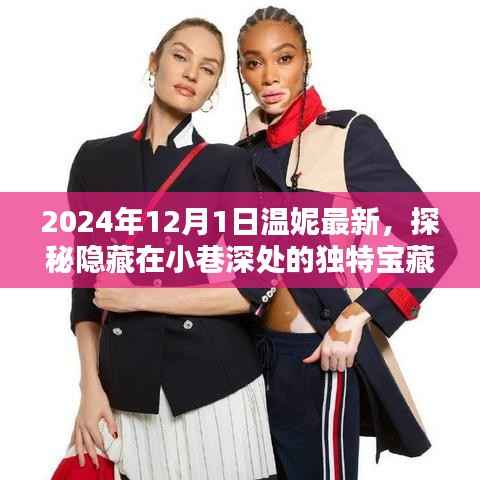 探秘2024年温妮最新宝藏,小巷深处的独特小店