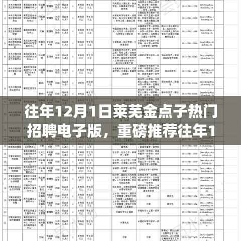 往年12月1日莱芜金点子热门招聘电子版全解析,职业之路从这里起航