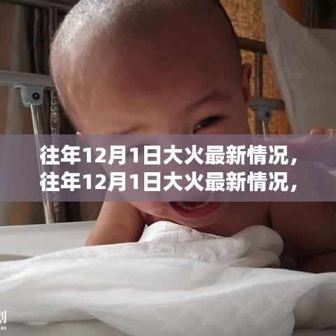 凤凰于飞 第5页