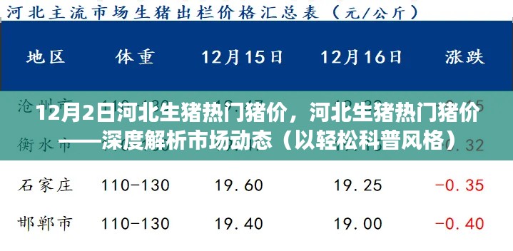 轻松科普解析,河北生猪热门猪价市场动态,深度解读市场趋势