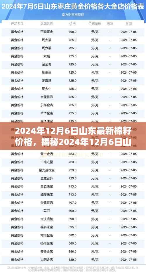 揭秘山东棉籽价格走势,2024年12月6日最新动态与预测分析