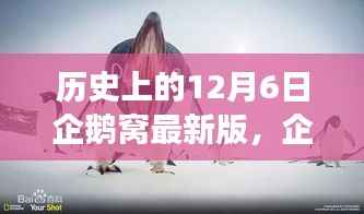 历史上的12月6日企鹅窝最新版，企鹅窝探秘，一场心灵与自然共舞的奇妙旅程