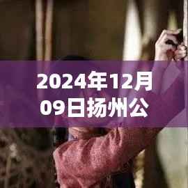 扬州公共实时任务指南,新手进阶之路(2024年12月09日版)