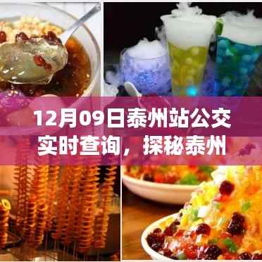 探秘泰州公交实时查询背后的故事,特色小吃与公交周边游指南