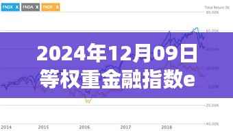 揭秘小巷深处的金融宝藏,2024年等权重金融指数ETF实时动态报告(附日期)
