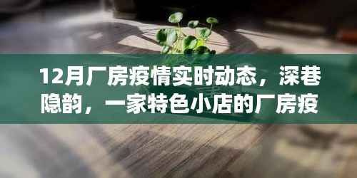 深巷特色小店厂房疫情实时动态探索之旅