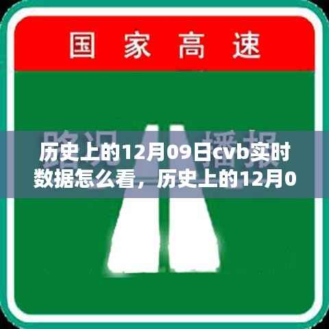 历史上的12月09日CVB实时数据解读指南,如何查看与解读实时数据?