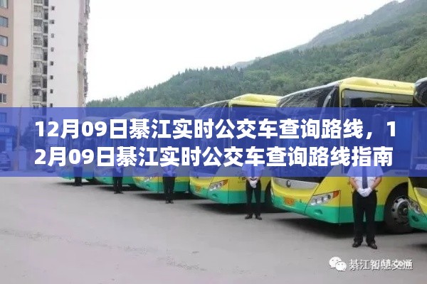 12月09日綦江实时公交车查询路线指南