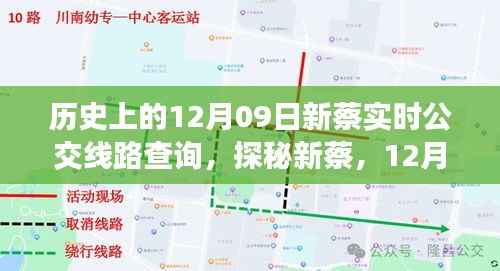 探秘新蔡,公交奇缘与特色小店的奇妙之旅(12月09日实时线路查询)