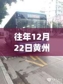 往年12月22日黄州1路公交车实时运行概览