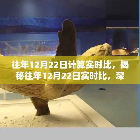 揭秘往年12月22日实时数据奥秘，深度解析背后的数据对比与奥秘探索