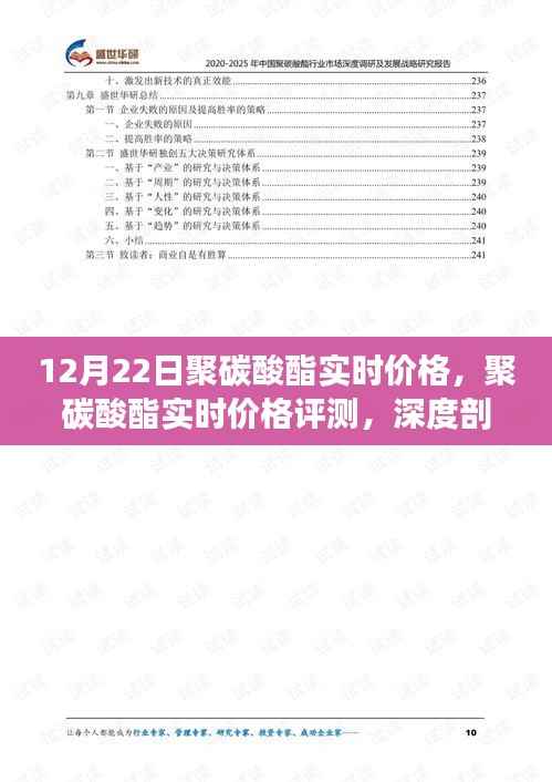 聚碳酸酯实时价格深度解析,评测与用户体验分析报告(12月22日)