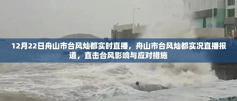 舟山市台风灿都实况直播报道,台风影响与应对措施直击