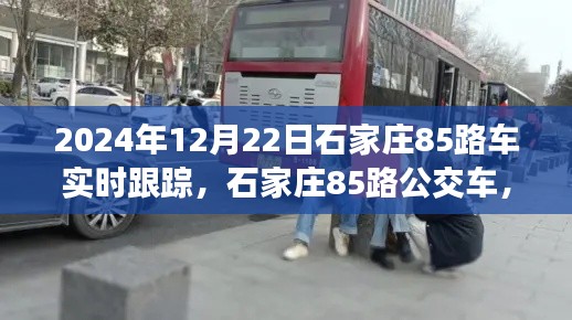 时光里穿梭的城间脉络纪实,石家庄85路公交车实时跟踪纪实