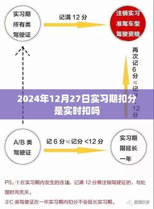 实习期扣分规则解析,扣分是否实时生效?