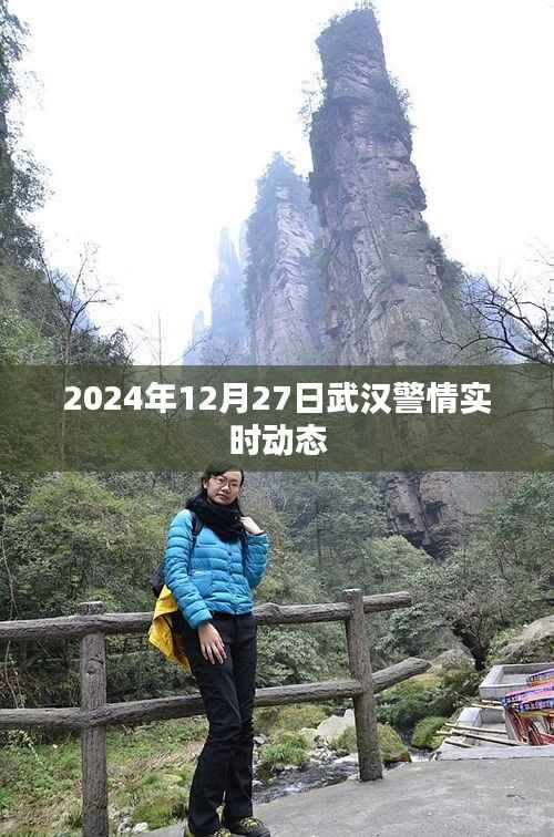 武汉警情实时动态播报(2024年12月27日)