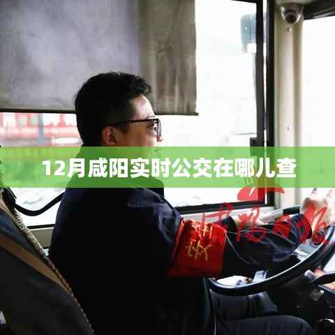 咸阳实时公交查询指南