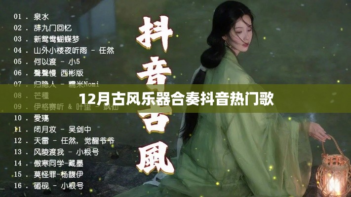 抖音热门古风乐器合奏,12月古风音乐盛宴