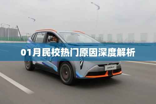 深度解读,一月份民校热门背后的原因