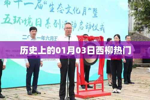 历史上的西柳一月三日,热门事件回顾